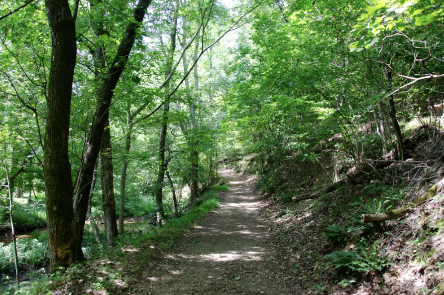 Ferncliff Trails