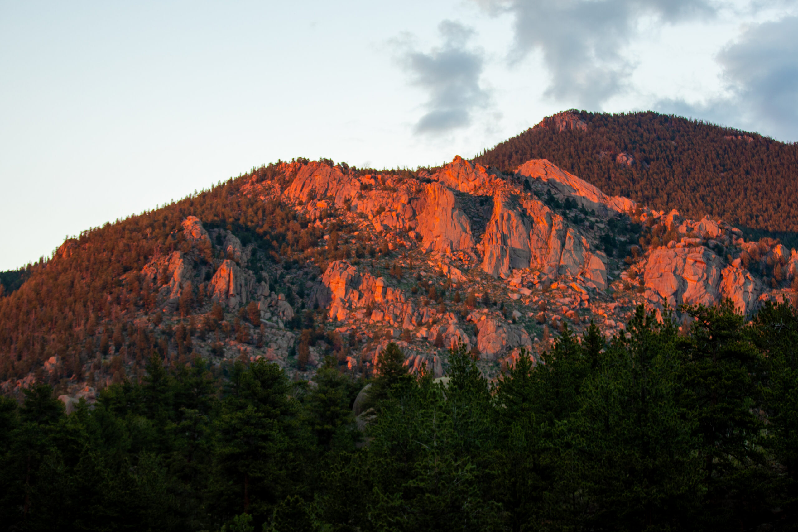 Tarryall Mountain View